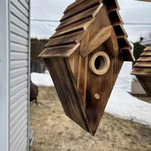 14- Atelier de fabrication de cabane d'oiseaux, les samedis 13h, début le 24 jan. 2026